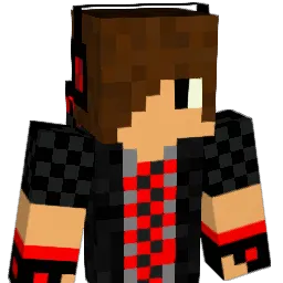 tintin6031 Minecraft avatar bust