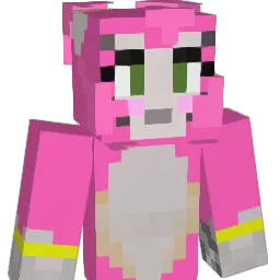 tinyflyerj3's Minecraft skin