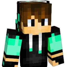 tipoute50 Minecraft avatar bust