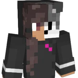 titins_3 Minecraft avatar bust