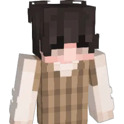 tjd0826 Minecraft avatar bust