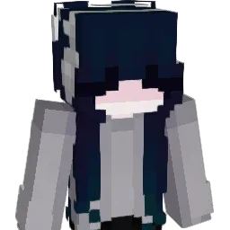 tjg6696 Minecraft avatar bust