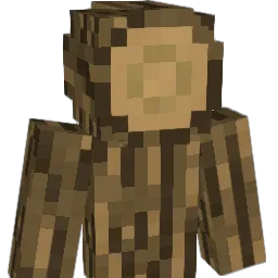 tjswhd1020 Minecraft avatar bust