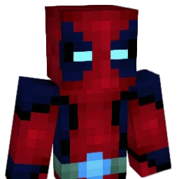 tkd9 Minecraft avatar bust