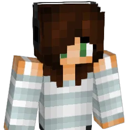 tkmfarm62 Minecraft avatar bust