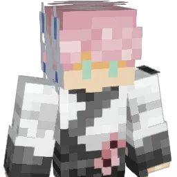 tls143_ Minecraft avatar bust