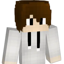 tls8816 Minecraft avatar bust