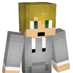 tmoney3 Minecraft avatar bust