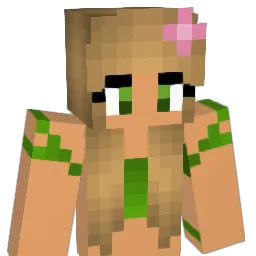 tnbd12 Minecraft avatar bust