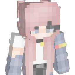 tndus03 Minecraft avatar bust