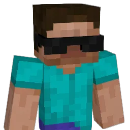tnkwns Minecraft avatar bust