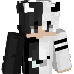 tntbowerMC's Minecraft skin