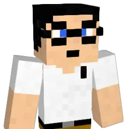 to3000 Minecraft avatar bust