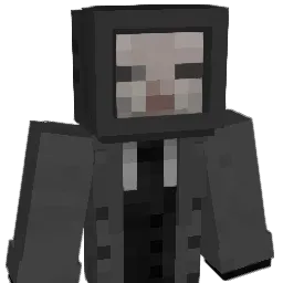 toasf's Minecraft skin