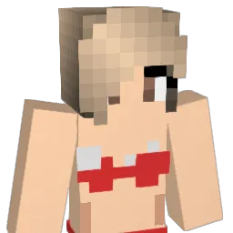 toast4toast Minecraft avatar bust