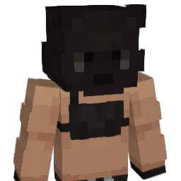 toastyyyxd Minecraft avatar bust