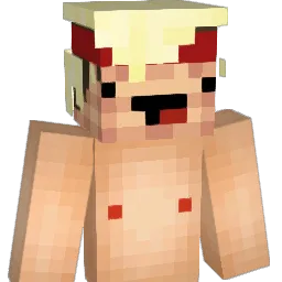 tobias_337 Minecraft avatar bust