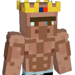 tobiasweber99 Minecraft avatar bust