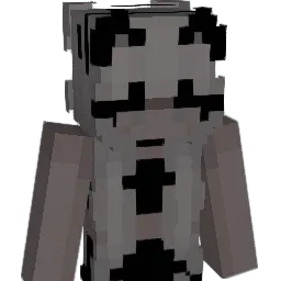 todandvixey00000 Minecraft avatar bust