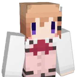 todo765 Minecraft avatar bust