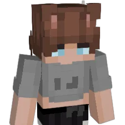 toes696969696 Minecraft avatar bust