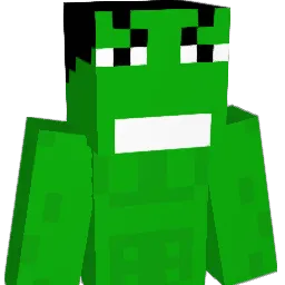 togi141919 Minecraft avatar bust