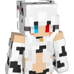 tokigamer08 Minecraft avatar bust