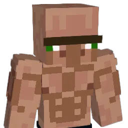 toly_hits18 Minecraft avatar bust