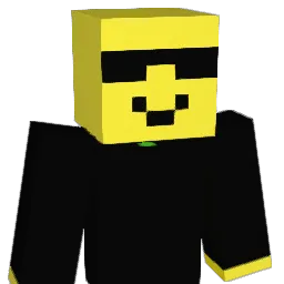 tom34215 Minecraft avatar bust