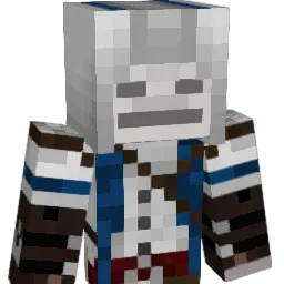 tomasote23 Minecraft avatar bust