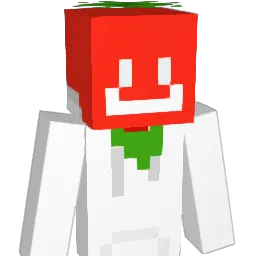 tomato19022007 Minecraft avatar bust