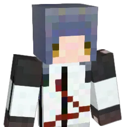 tomato_kc Minecraft avatar bust