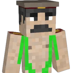 tomball11 Minecraft avatar bust