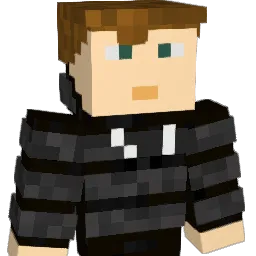 tomcity11 Minecraft avatar bust