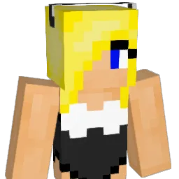 tomdomgo Minecraft avatar bust