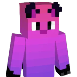 tomeczek2 Minecraft avatar bust