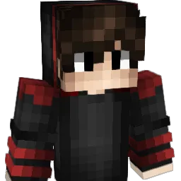 tomet2008 Minecraft avatar bust