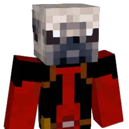 tomgamer33 Minecraft avatar bust