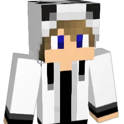 tomi80 Minecraft avatar bust