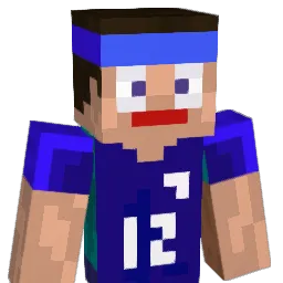 tomiix32 Minecraft avatar bust