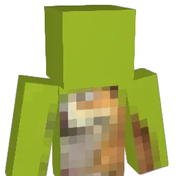tomimer's Minecraft skin