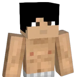 tommytomtom2001 Minecraft avatar bust