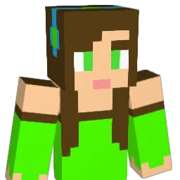 tomo888 Minecraft avatar bust