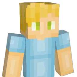 toms2008tt Minecraft avatar bust