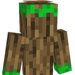 tomtiedom Minecraft avatar bust
