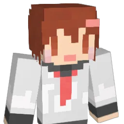 tomy1031 Minecraft avatar bust