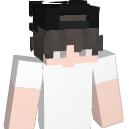 tondix's Minecraft skin