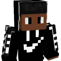 tondo_ Minecraft avatar bust