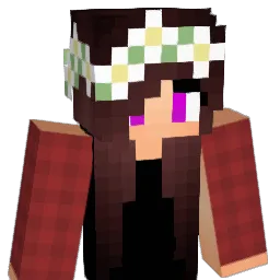 toolface101 Minecraft avatar bust