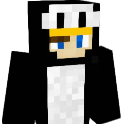 topsoup1 Minecraft avatar bust